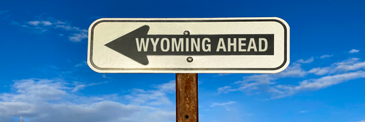 Top 10 Fly Fishing Destinations in Wyoming: A Paradise for Anglers